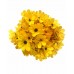 5x 21Heads Little Daisy Bunches  Artificial Flowers Bouquet Floral  Home Decor   172783416778